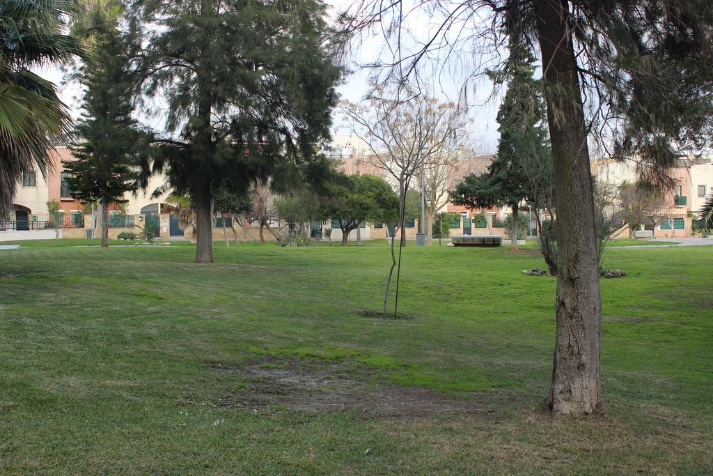 Apartamento La Venencia Jerez de la Frontera Exteriör bild